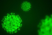 Coronavirus under the microscope background