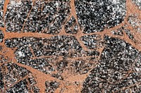 Abstract black and orange marble textured background
