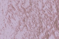 Pink fluffy fur textured background