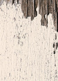 Rustic beige wooden textured flooring background
