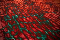 Abstract red and green textured background