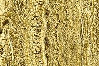 Golden textured abstract wall design