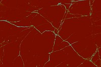 Red marble textured background design