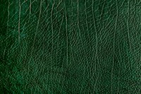 Green creased leather textured background