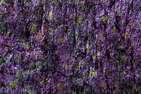 Purple stone textured background design