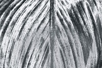 Detailed silver leaf textured background