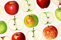 Hand drawn apple patterned background