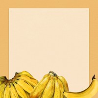 Hand drawn natural fresh banana patterned frame