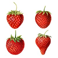 Hand drawn natural fresh strawberries set vector