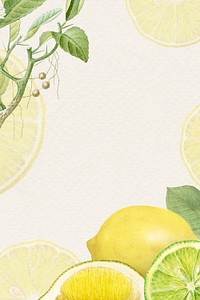 Hand drawn natural fresh lemon patterned frame