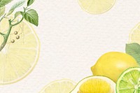 Hand drawn natural fresh lemon frame vector