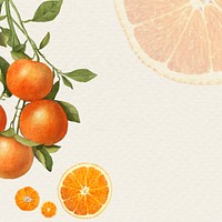Hand drawn natural fresh orange patternd fr