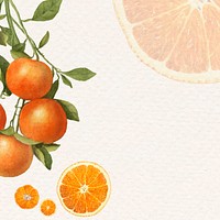 Hand drawn natural fresh orange frame vector