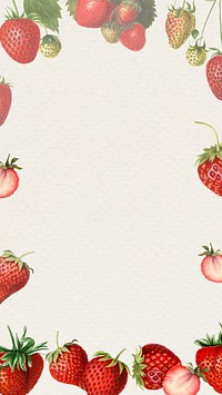 Hand drawn natural fresh strawberry patterned frame