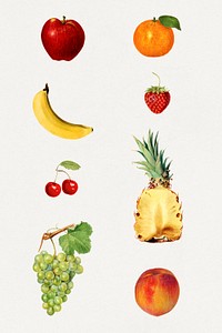 Detailed hand drawn fresh mixed fruits set