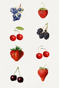 Detailed hand drawn fresh mixed berries set