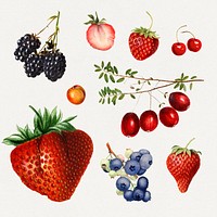 Detailed hand drawn fresh mixed berries set