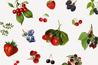 Hand drawn mixed berries on a gray background vector