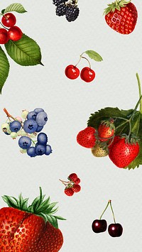 Hand drawn mixed berries on a gray background illustration