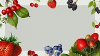 Hand drawn mixed berries frame illustration