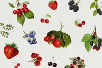 Hand drawn mixed berries on a gray background illustration