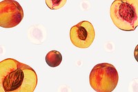 Hand drawn natural fresh peach patterned background vector