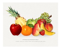 Hand drawn mixed tropical fruits background illustration