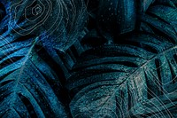 Dark blue monstera leaf background illustration