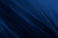 Textured dark blue background