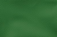 Green leather textured background illustration