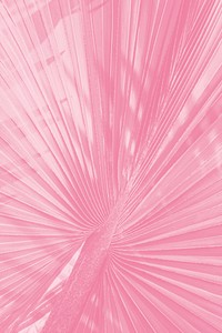 Ballet slipper pink palm leaf textured background