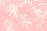 Crepe pink monstera leaf patterned background