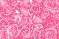 Watermelon pink rose patterned background
