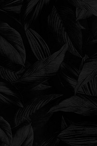 Black calathea lutea patterned background