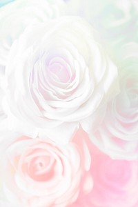 Pink rose patterned background