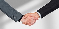 Business people shaking hands in an agreement