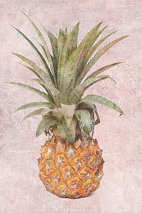 Yellow pineapple design element illustration