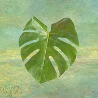 Monstera leaf design element illustration