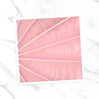 Pink leaf patterned notepaper with white border