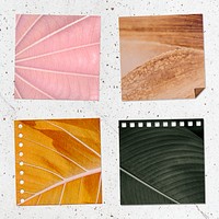 Natural leaf patterned notepaper set