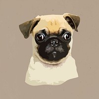 Vectorized adorable pug sticker design resource