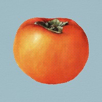 Halftone fresh persimmon sticker overlay