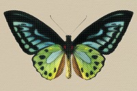 Hand drawn butterfly halftone style illustration