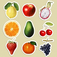 Halftone tropical fruit sticker set  with a white border