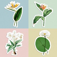 Halftone tropical flower sticker set with a white border