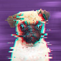 Pug glitch style design element  