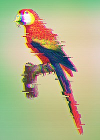 Macaw with glitch effect design element