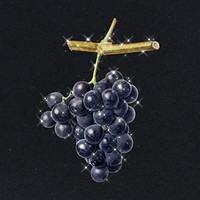 Hand drawn sparkling black grapes fruit design element