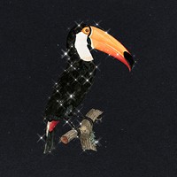 Hand drawn sparkling toco toucan design element