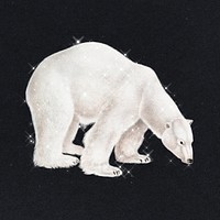 Hand drawn sparkling polar bear design element